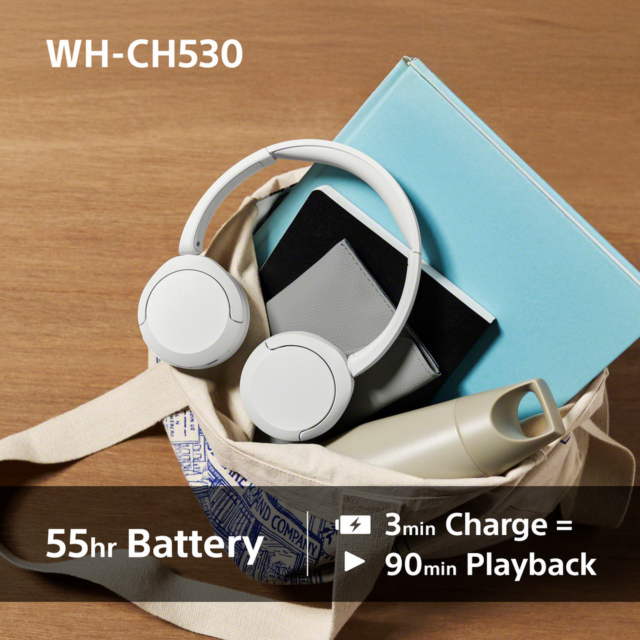 Sony WHCH530G.CE7 Wireless Over-Ear Headphones Mint Green